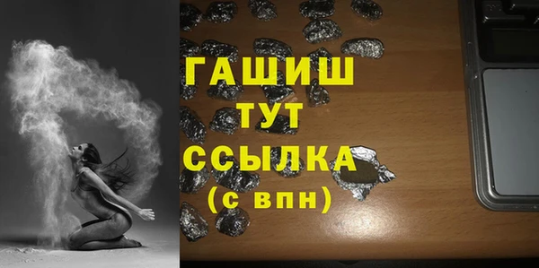 индика Коряжма