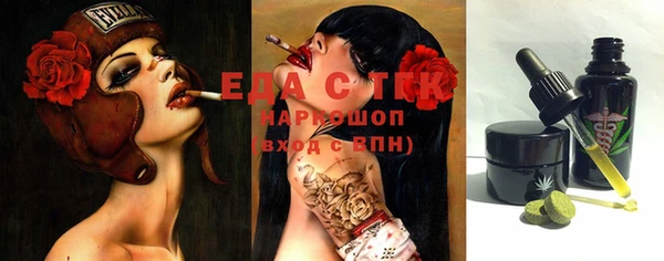 индика Коряжма