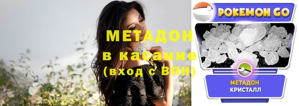 индика Коряжма