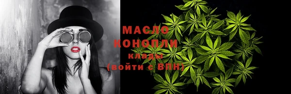 индика Коряжма