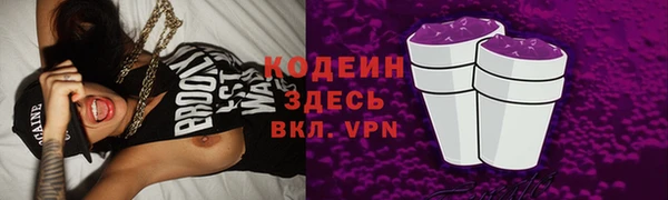 PSILOCYBIN Корсаков