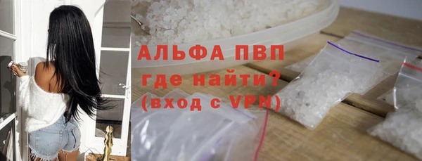 PSILOCYBIN Корсаков