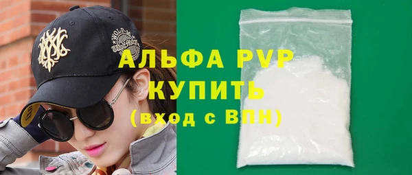 PSILOCYBIN Корсаков