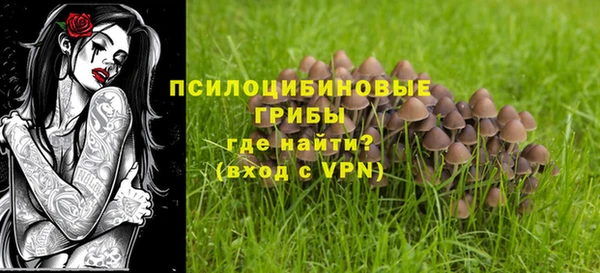 мяу мяу мука Костерёво