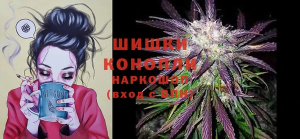 PSILOCYBIN Корсаков