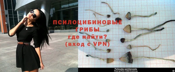 индика Коряжма
