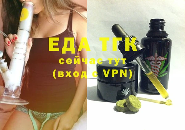 индика Коряжма