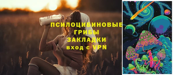 индика Коряжма