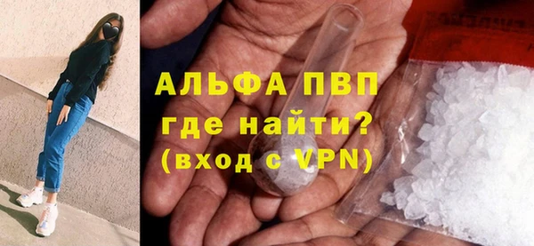 индика Коряжма